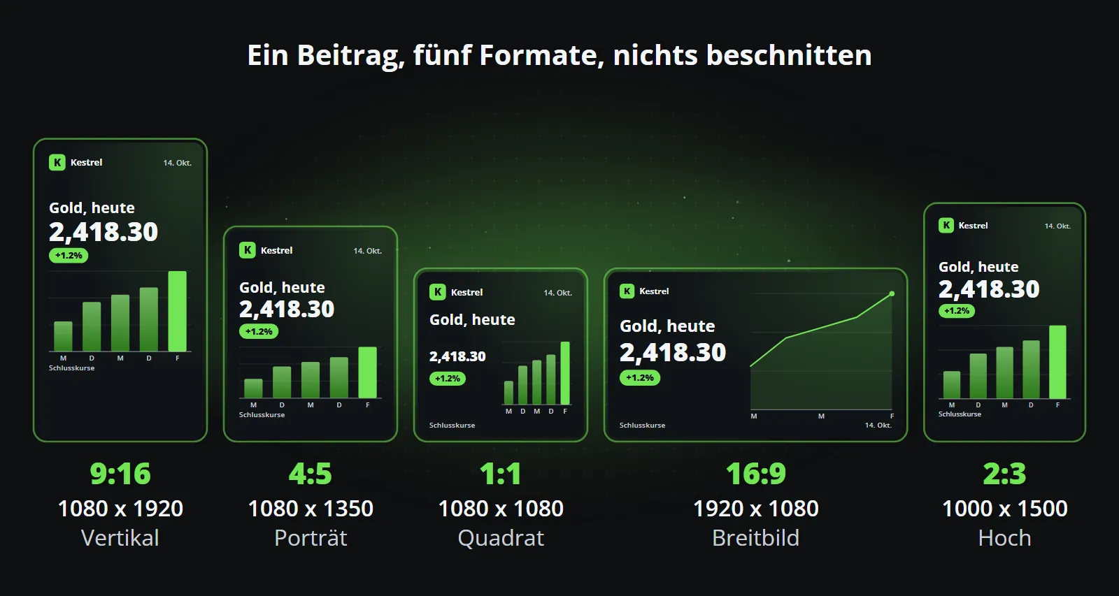 Derselbe Beitrag maßstabsgetreu in 9:16 (1080 x 1920), 4:5 (1080 x 1350), 1:1 (1080 x 1080), 16:9 (1920 x 1080) und 2:3 (1000 x 1500), mit Logo, Überschrift, Zahl und Diagramm jeweils vollständig